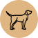 Cães
